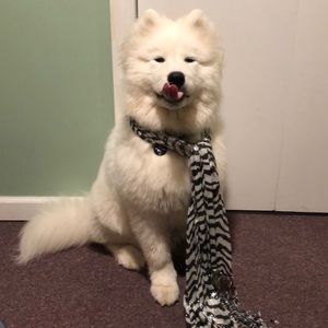 Zebra print scarf with metallic silver highlights